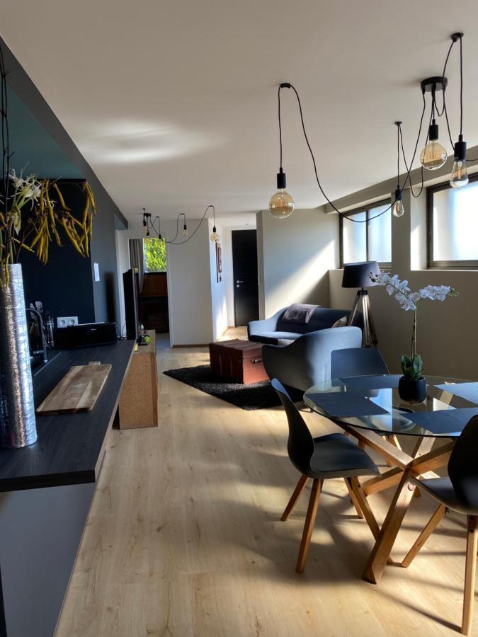 Appartement Atypique Epinal Gare Экстерьер фото